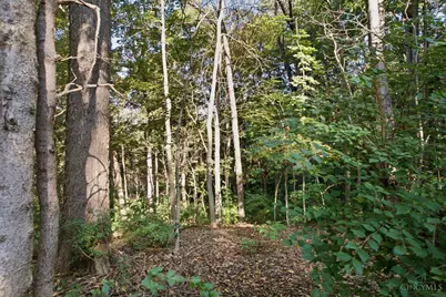 462 Windfern Forest Lane, Union Township, OH 45244 - Photo 92