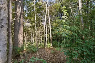 462 Windfern Forest Ln, Union Township, OH 45244 - Photo 92