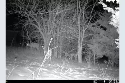 4140 State Route 763, Huntington Township, OH 45167 - Photo 14