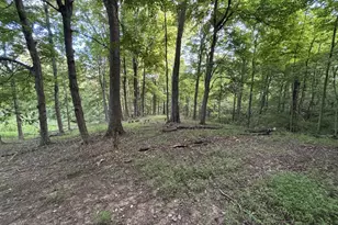 3315 Cole Rd, Pierce Township, OH 45157 - Photo 50