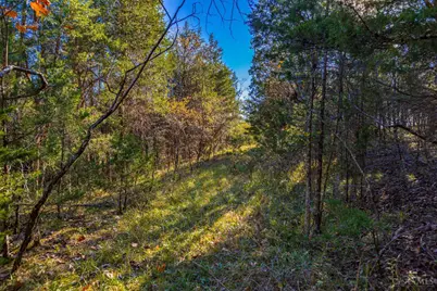 0 Bentonville Road, West Union, OH 45693 - Photo 18