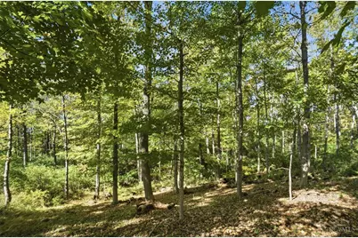 39 McCormick Trail, Milford, OH 45150 - Photo 44