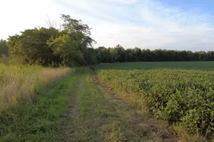 10930 Henry Plummert Rd, Harlan Township, OH 45107 - Photo 1
