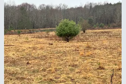 5226 Blood Road, Marienville, PA 16239 - Photo 38