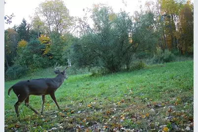 0 Lower Mudlic Rd, Mayport, PA 16240 - Photo 20