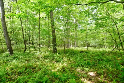 456 Preacher Hill Rd, Tidioute, PA 16341 - Photo 10