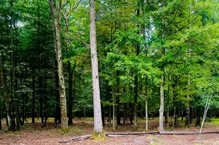 3922 Hudson Dr, Fisher, PA 16225 - Photo 34