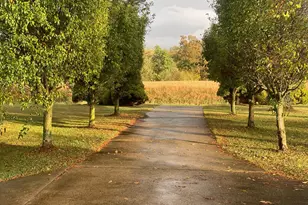 914 Oak Ridge Rd, New Bethlehem, PA 16242 - Photo 46