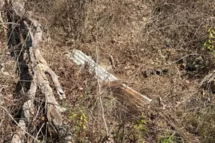 3176/3186 Pa 58, Emlenton, PA 16373 - Photo 60