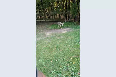 1110 W. 3rd, Oil City, PA 16301 - Photo 6