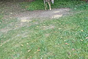 1110 W 3rd, Oil City, PA 16301 - Photo 6