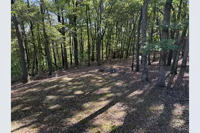 206 Kline Rd, Cranberry, PA 16319 - Photo 6