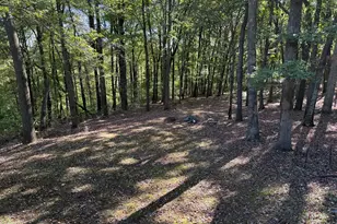 206 Kline Rd, Cranberry, PA 16319 - Photo 6