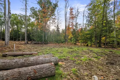 1955 Greenwood Road, Marienville, PA 16239 - Photo 42