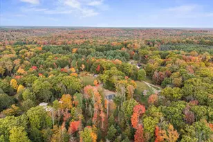 1955 Greenwood Rd, Marienville, PA 16239 - Photo 38