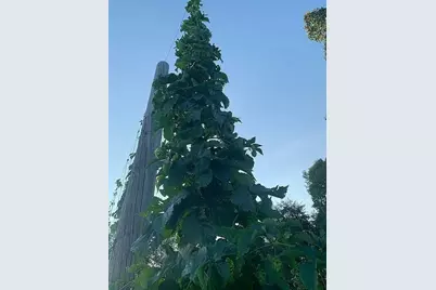 528 State Route 1035, Kittanning, PA 16201 - Photo 34