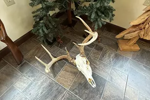 5657 Fleming Hill Rd, Tidioute, PA 16351 - Photo 56