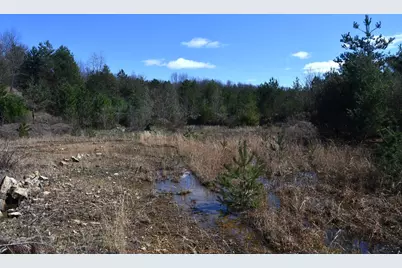 00 Paint Boulevard, Shippenville, PA 16254 - Photo 4