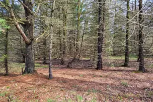 50 Laurel Ln, Leeper, PA 16233 - Photo 28