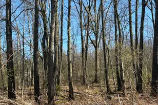 22938 Titusville Rd, Titusville, PA 16354 - Photo 28