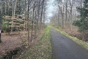 41164 Route 66, Marienville, PA 16239 - Photo 6