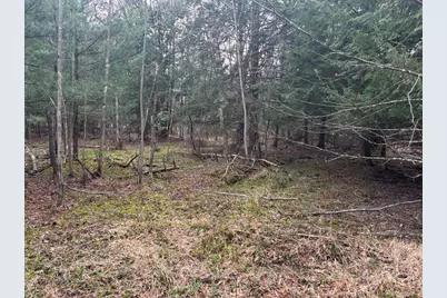 41164 Route 66, Marienville, PA 16239 - Photo 4