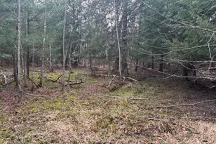 41164 Route 66, Marienville, PA 16239 - Photo 4