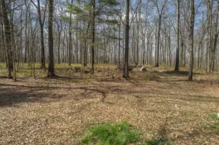 2321 Red Brush Rd, Tionesta, PA 16353 - Photo 14