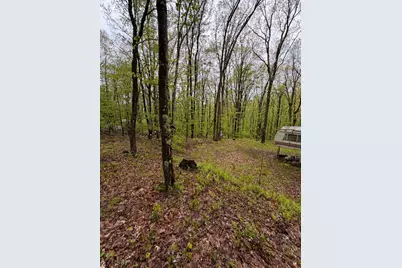 318 Upper Lease Road, West Hickory, PA 16351 - Photo 4