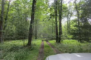 488 Deer Rd, Marienville, PA 16239 - Photo 6