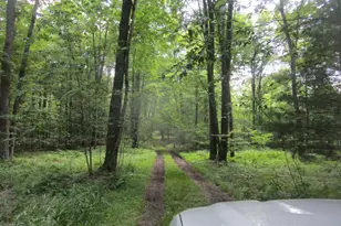 488 Deer Rd, Marienville, PA 16239 - Photo 26