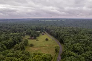 817 Shriver Rd, Tionesta, PA 16353 - Photo 40