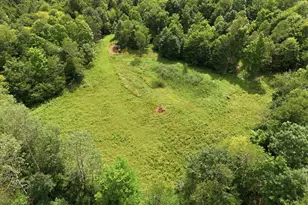 252 Rice Rd, Titusville, PA 16354 - Photo 38