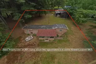 310 Green Oak Ln, Tionesta, PA 16353 - Photo 2