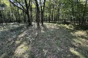 828 Dennison Run Rd, Polk, PA 16342 - Photo 20