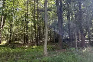 22 Peach Ln, Strattanville, PA 16253 - Photo 36