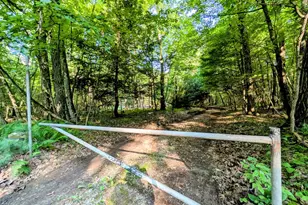 1663 Stitzinger Rd, Tionesta, PA 16353 - Photo 1