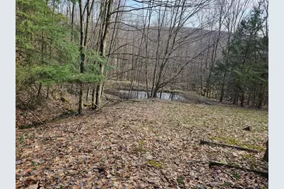 763 Spring Run Road, Tionesta, PA 16353 - Photo 1