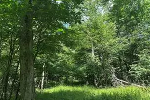 0 Cooperstown Rd, Franklin, PA 16323 - Photo 1