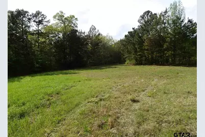 19522 Hwy 155, Flint, TX 75762 - Photo 4