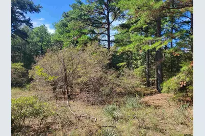 15160 County Road 1227, Flint, TX 75762 - Photo 20