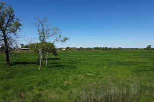 4 98 Acres Rs County Road 3410, Emory, TX 75440 - Photo 1