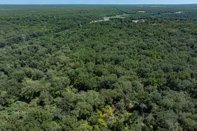 Tract B Hwy 69, Mineola, TX 75773 - Photo 8