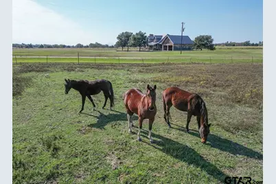 411 Rs County Road 4525, Point, TX 75472 - Photo 36