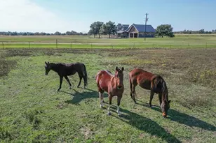 411 Rs County Road 4525, Point, TX 75472 - Photo 36