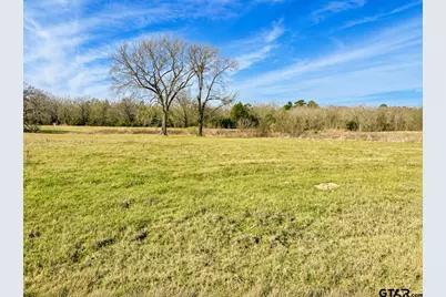 Tbd Cr 2320, Pittsburg, TX 75686 - Photo 2