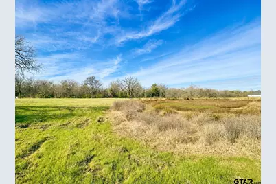 Tbd Cr 2320, Pittsburg, TX 75686 - Photo 4