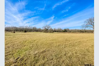 Tbd Cr 2320, Pittsburg, TX 75686 - Photo 2