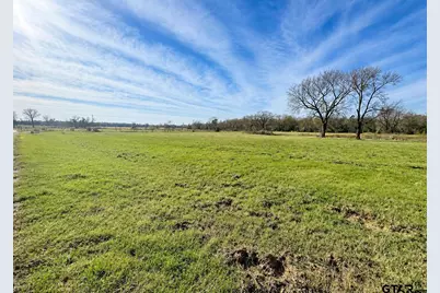 Tbd Cr 2320, Pittsburg, TX 75686 - Photo 1