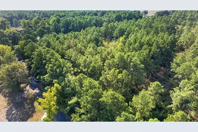 14466 County Road 393, Tyler, TX 75708 - Photo 4
